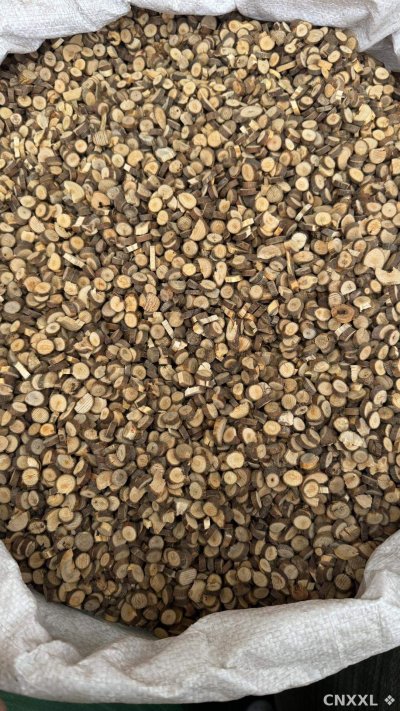 spice_25401_6c61de8d_3.jpg