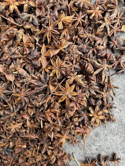 spice_25521_25a2fca6_3.jpg