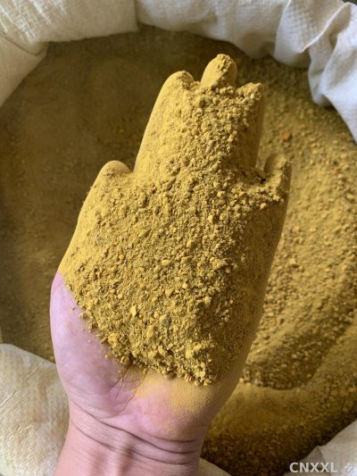 spice_25542_2bc06755_1.jpg