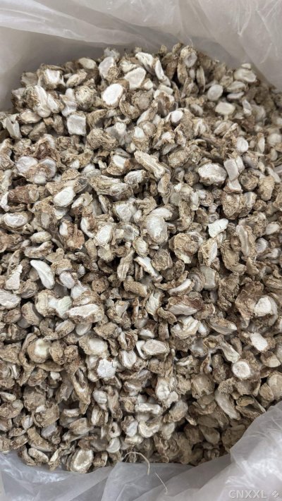 spice_25546_43c80cb1_2.jpg