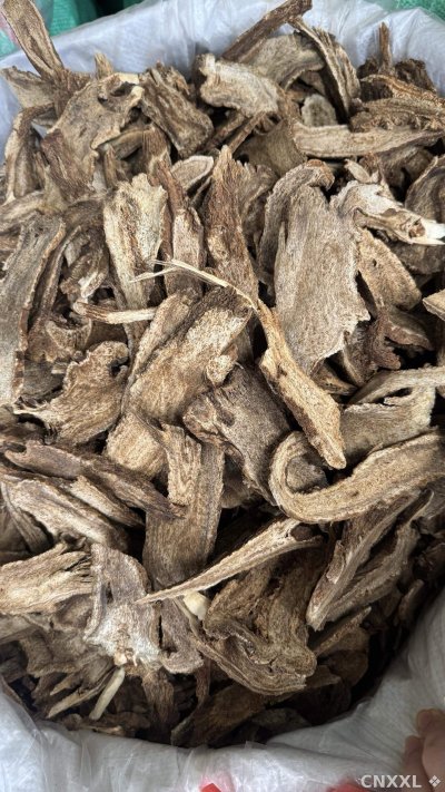 spice_25548_219e98d4_3.jpg
