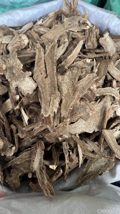 spice_25548_6379a5d0_2.jpg