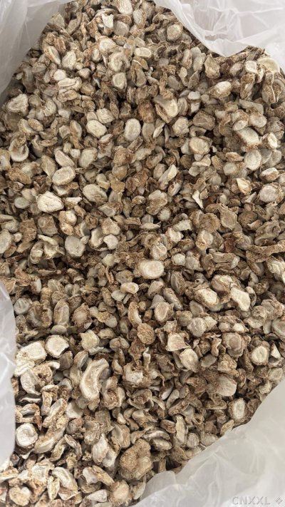 spice_25553_cdb79ae6_3.jpg