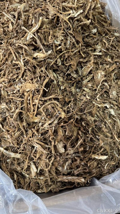 spice_25582_2577eac5_2.jpg