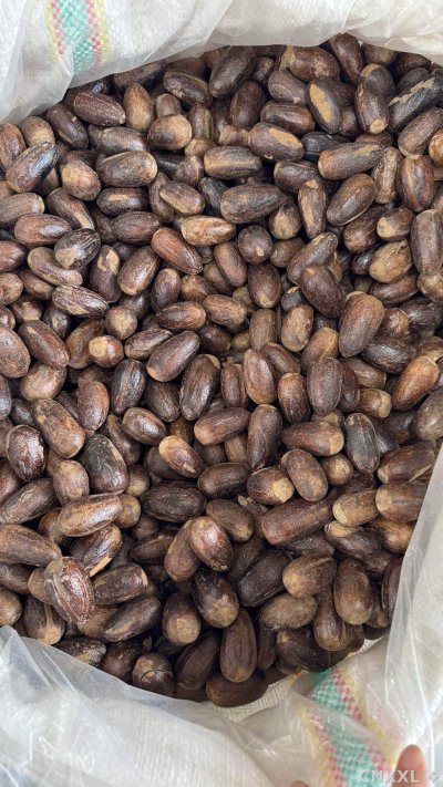 spice_25586_e8cbade3_3.jpg