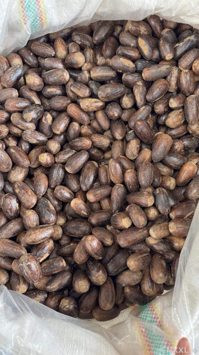 spice_25586_fd21e7da_2.jpg