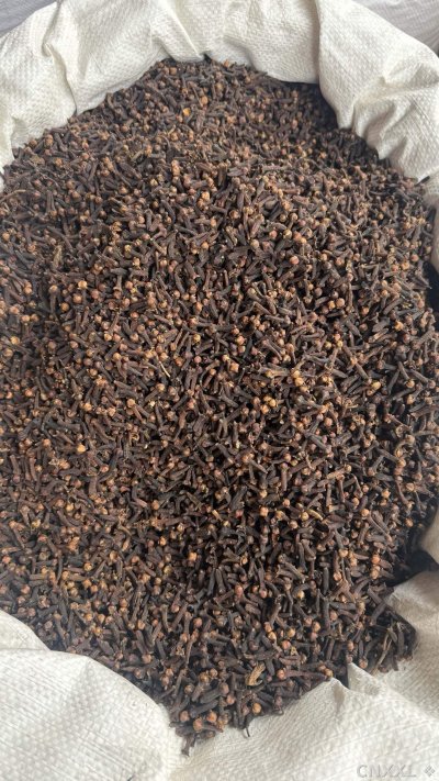 spice_25590_58ad78dd_3.jpg