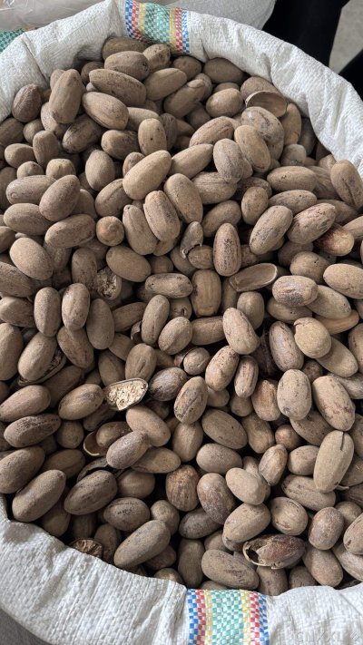 spice_25594_cf8b8b55_3.jpg