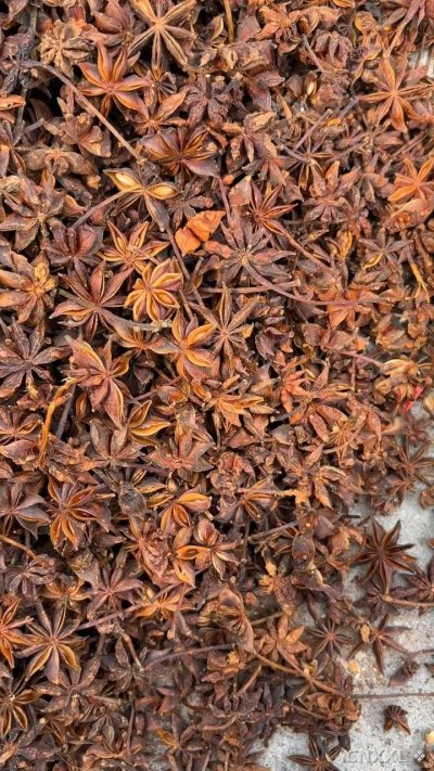 spice_25595_408d2ef7_1.jpg