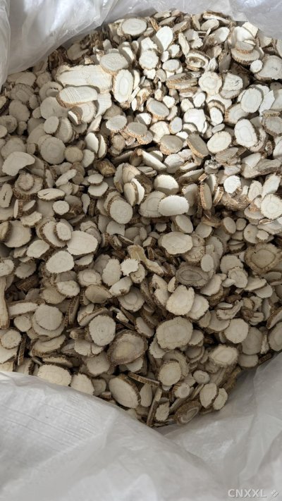 spice_25597_5ef5229e_3.jpg