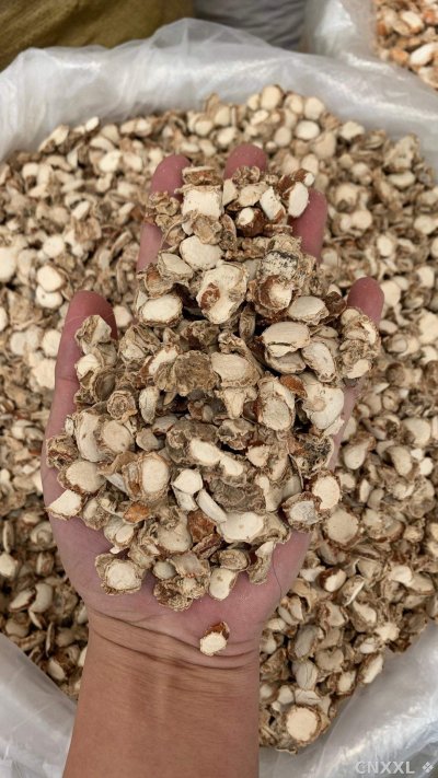 spice_25599_6c90532f_1.jpg