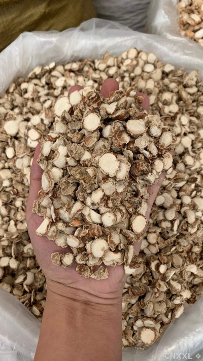 spice_25599_8c31bb0a_2.jpg