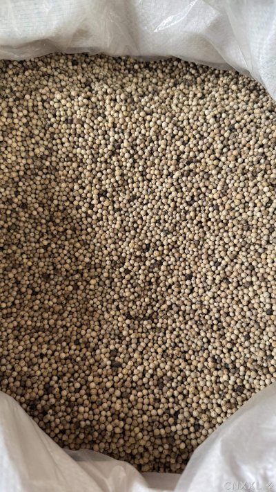 spice_25608_ccf277e9_3.jpg