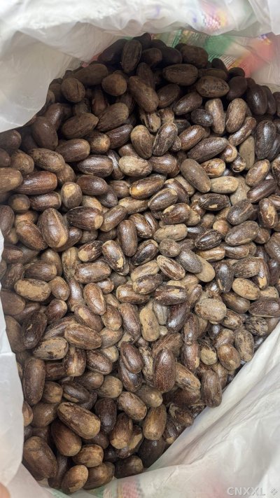 spice_25622_3e55e504_2.jpg