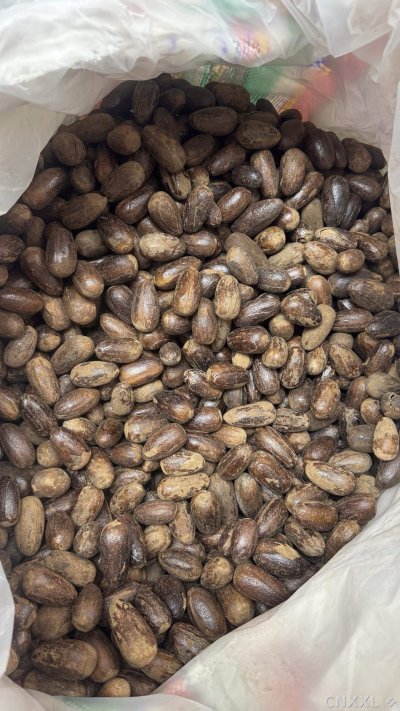 spice_25622_fb73592b_3.jpg