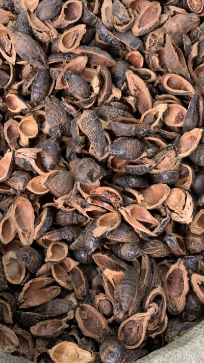 spice_25630_75c934e8_3.jpg