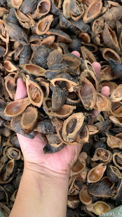 spice_25630_f76feea1_2.jpg