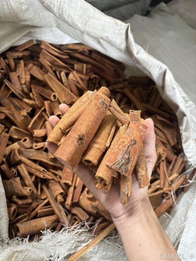spice_25636_c7615da4_2.jpg