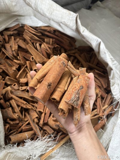 spice_25636_d40c33c4_1.jpg