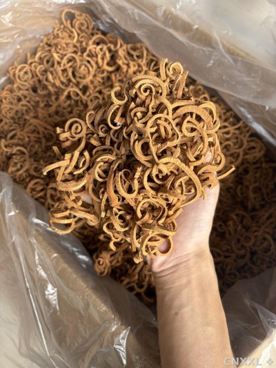 spice_25639_c6424d87_3.jpg