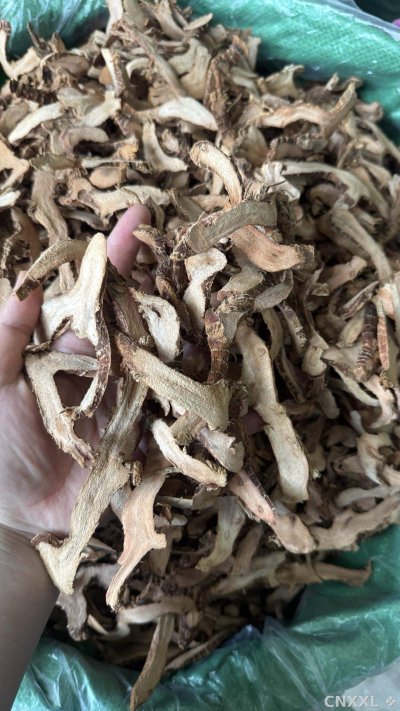 spice_25642_77df08ff_1.jpg