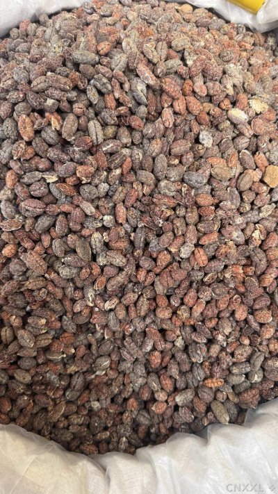 spice_25643_fc20fd4c_3.jpg