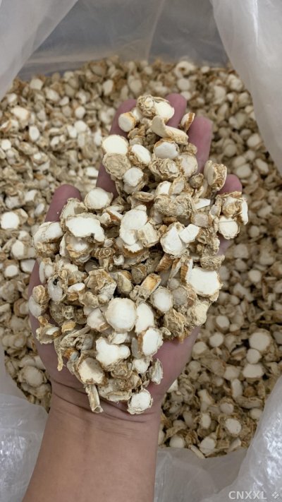 spice_25647_73126cb8_1.jpg
