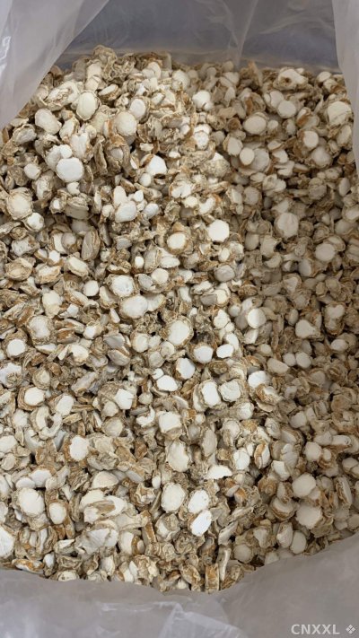 spice_25647_abb538cf_3.jpg