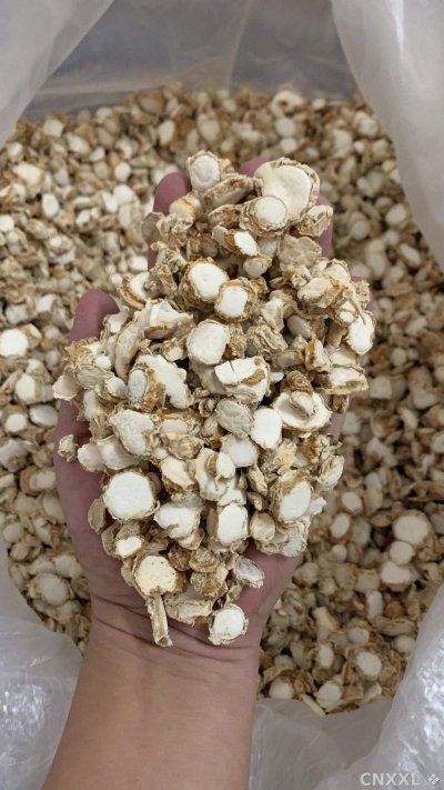 spice_25647_d9281796_2.jpg