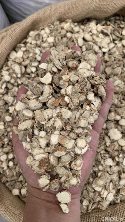 spice_25648_9d6c17ec_2.jpg
