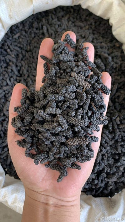 spice_25657_54cae7b3_1.jpg