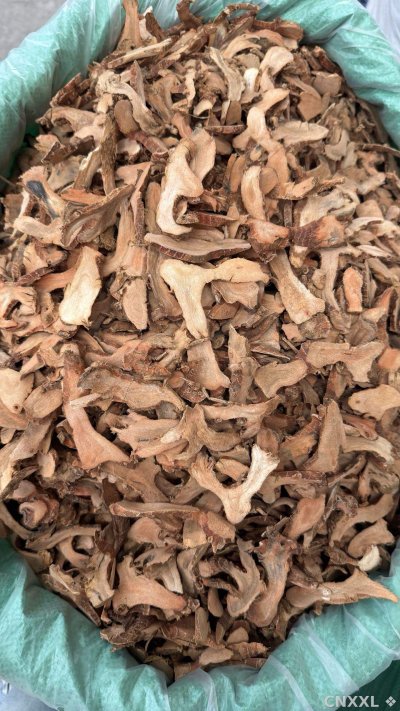 spice_25663_2938aadd_2.jpg