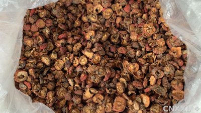 spice_25667_899902b2_3.jpg