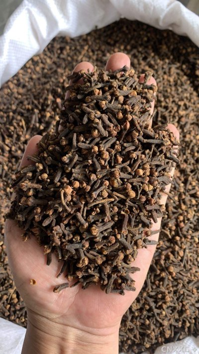 spice_25669_9a0c4b6b_1.jpg