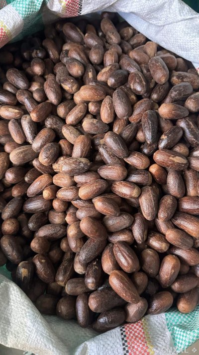 spice_25675_2607de26_2.jpg