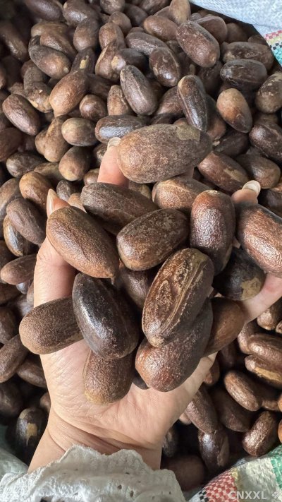 spice_25675_c3d0bc4a_1.jpg