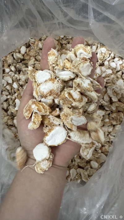 spice_25676_42d1a36f_1.jpg