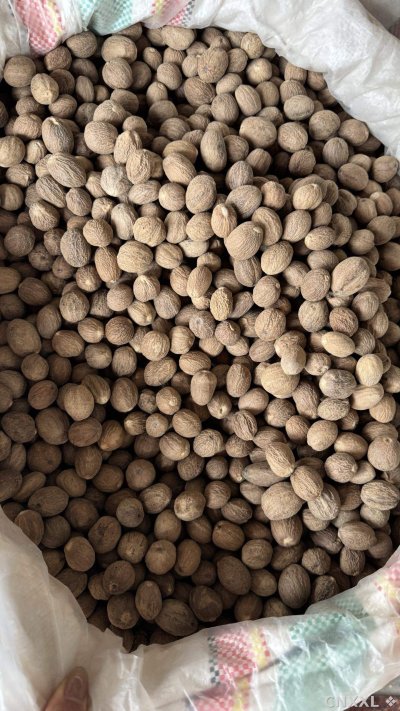spice_25681_6f8c2298_3.jpg
