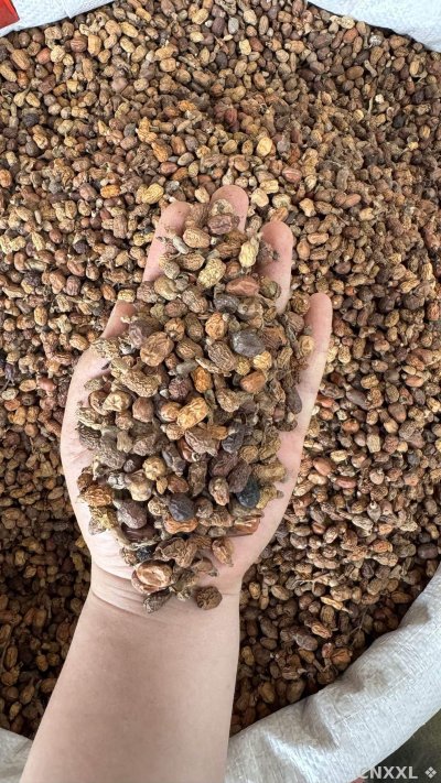 spice_25684_bab3ca37_2.jpg