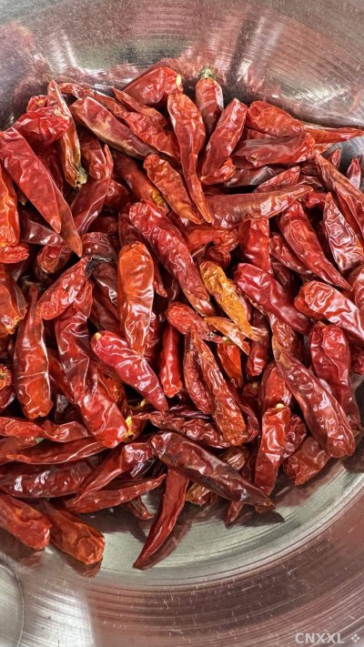 spice_25689_3b2c6cdd_3.jpg