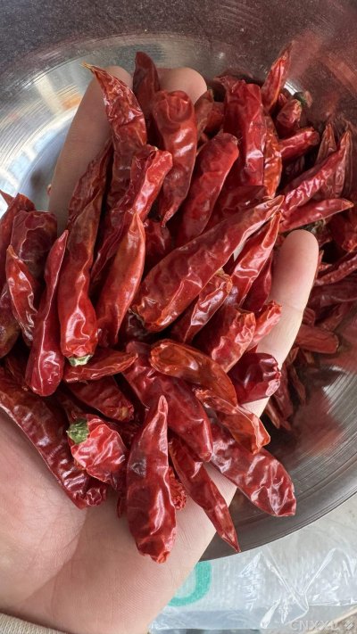 spice_25689_c3b31d5c_2.jpg