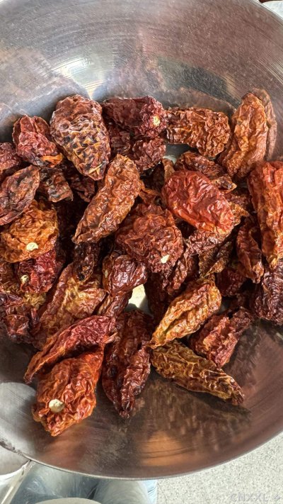 spice_25690_a79fb48a_3.jpg