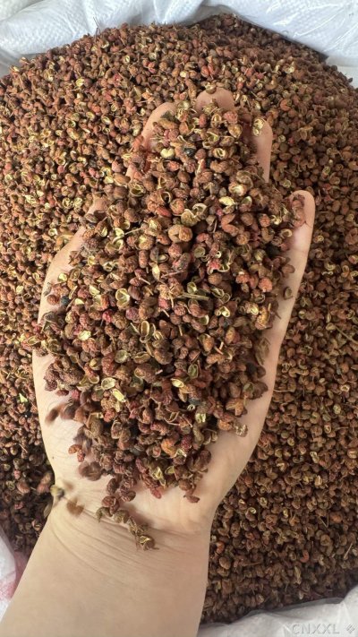 spice_25692_4dbd12f5_2.jpg