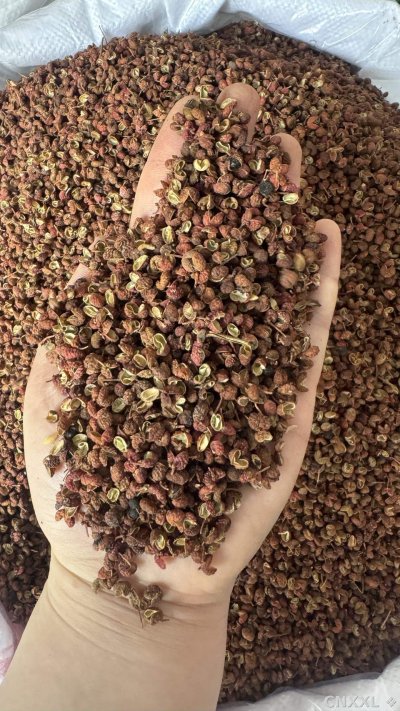 spice_25692_7e9da9f4_1.jpg