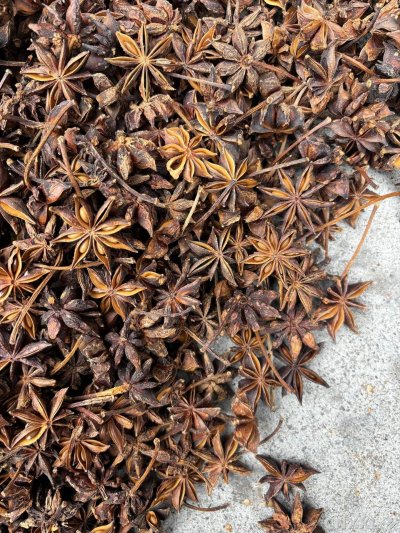 spice_25696_a57627af_3.jpg