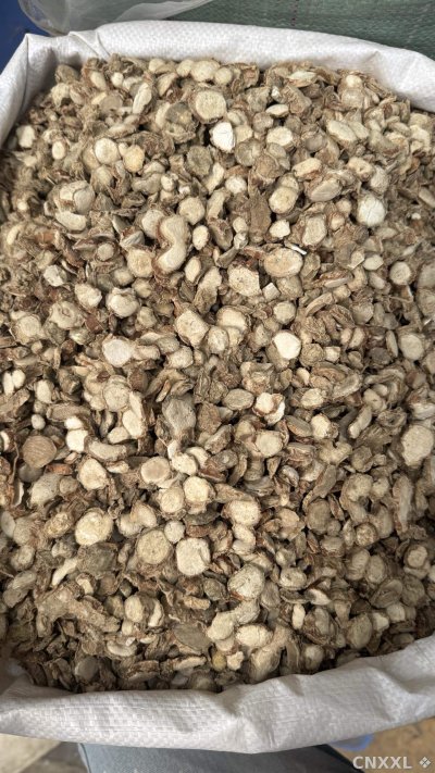 spice_25700_9c14b6f5_3.jpg