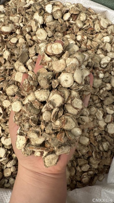 spice_25700_b09109df_1.jpg