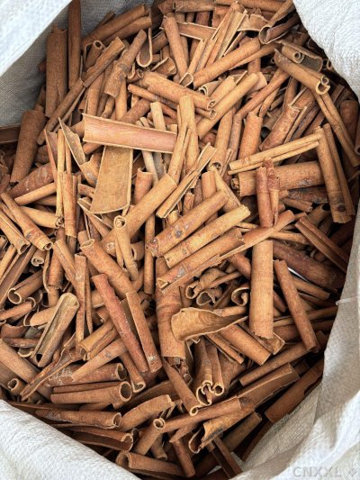 spice_25701_0865f06b_3.jpg