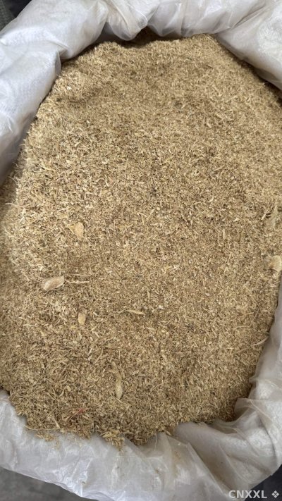 spice_25703_66e38e9d_3.jpg