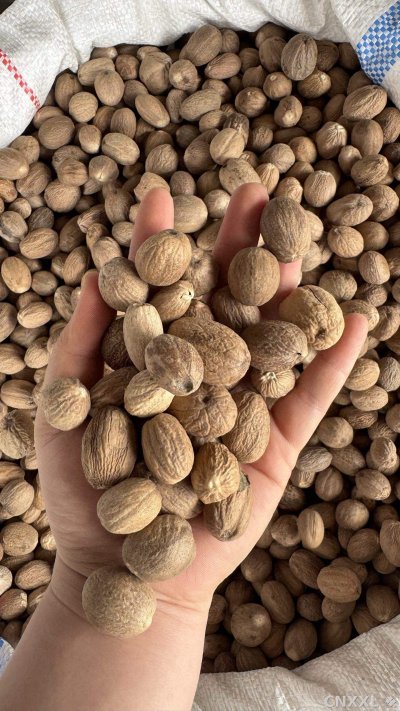 spice_25707_b44bb844_2.jpg